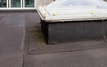 disadvantages of Lelant Downs flat roofs