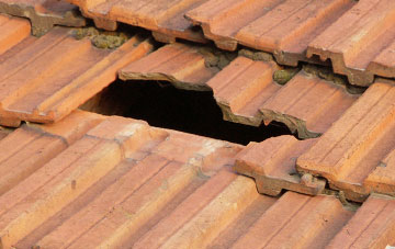 roof repair Lelant Downs, Cornwall