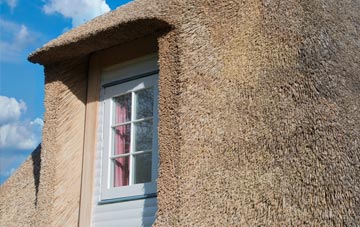 Lelant Downs thatch roof disadvantages